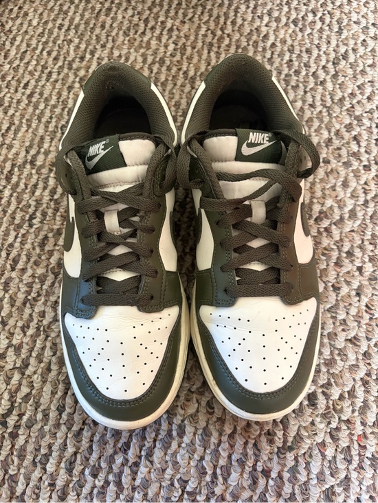 Jordan Other - Nike Dunks Medium Olive